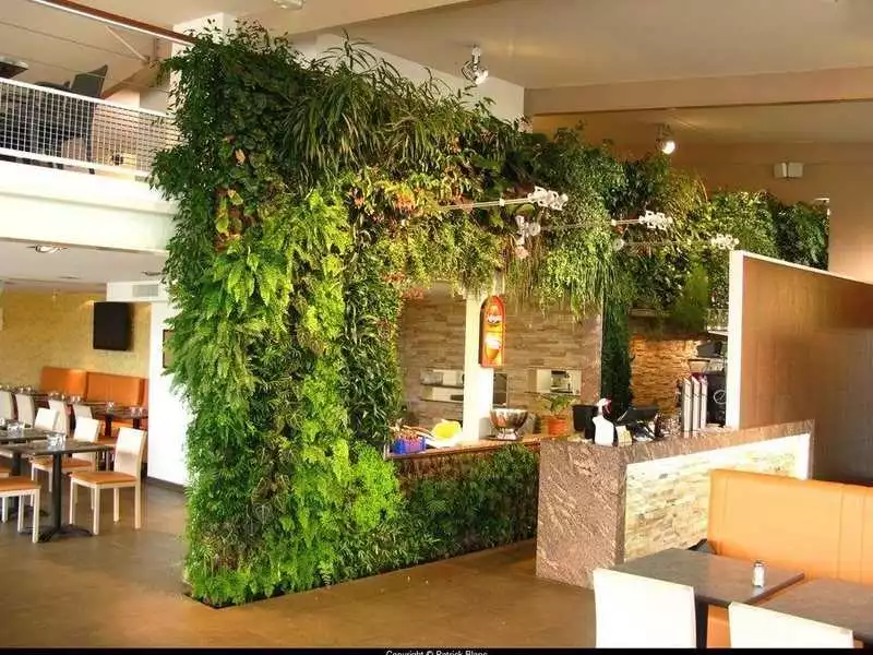 Типы Растительного Декора Для Интерьера Ресторана