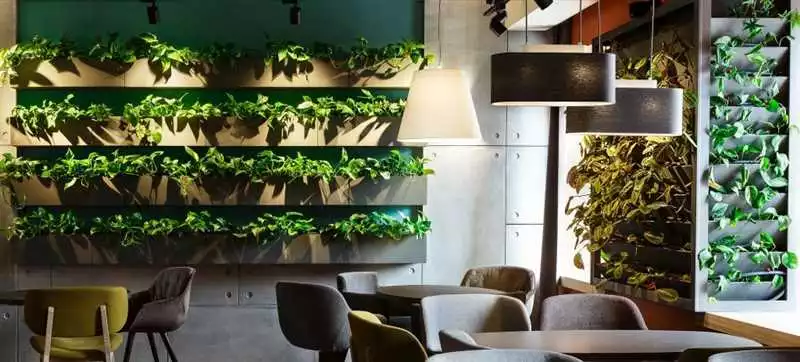 5 лучших способов использования декоративного освещения для создания комфорта и атмосферности в вашей кофейне